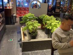 -杏花村水席楼·洛阳水席(老城十字街店)