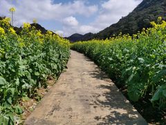 -广州市石门国家森林公园