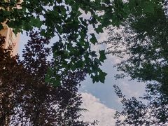-浮山香苑