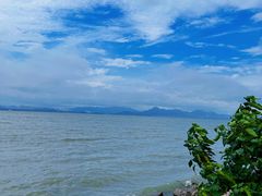 -深圳湾公园(南山区)