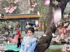 -白家大院·王府宫廷菜(苏州街店)