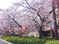 -京都冈本和服体验租赁店(清水寺店)