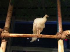 -昆明大悦城未来动物城(螺蛳湾中心店)