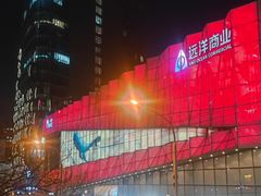 -远洋未来汇