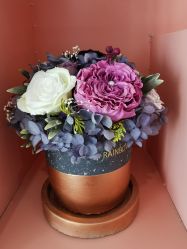 -Beauty Nails 美甲美睫皮肤管理