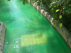 -亚马逊丛林水乐园