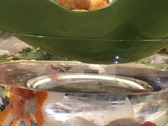 -兰边碗(鼓楼店)