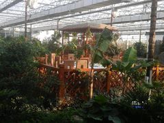 景观包间-汤山翠谷生态餐厅