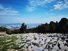 -原山国家森林公园