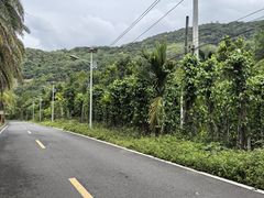 -海南热带雨林国家公园吊罗山景区