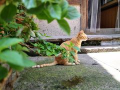 -紫阳古街