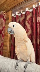 -Zoolung Zoolung动物主题公园(海信广场店)