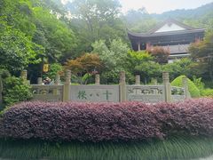 -十八棵（老龙井）御茶园(老龙井店)