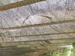 -野三坡刘家河高山漂流