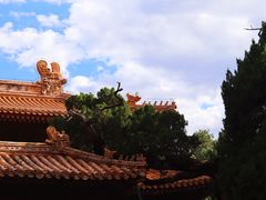 -故宫博物院(故宫)