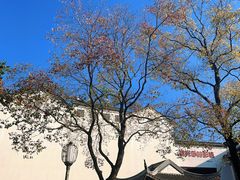 -老门东历史文化街区
