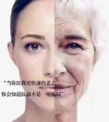 点击看大图 -玛莲朵·海菲秀冰珀科