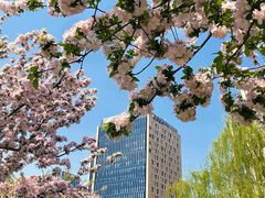 -元大都城垣遗址公园