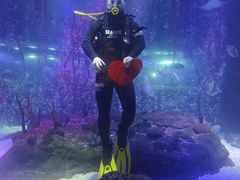 -沈阳海洋探索中心