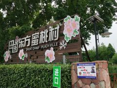 -田园东方蜜桃村的田野营地