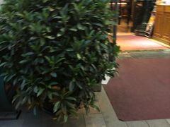 -皇冠自酿啤酒坊(中国红街5号楼店)