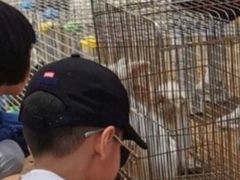 -前小桔亲子创意农场·草莓采摘·露营烧烤