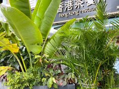 -龙记·香港茶餐厅(海上世界店)