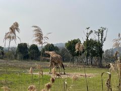 -宁波野生动物园