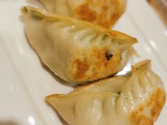 鲜韭菜煎饺-金鼎轩(亚运村店)