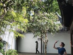 -上海醉白池公园