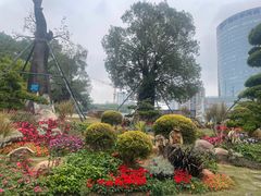 -南宁南湖公园