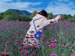 -名花谷生态庄园