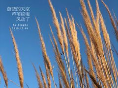 -梁鸿国家湿地公园