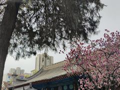 -万寿八仙宫