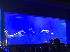 -重庆欢乐海底世界