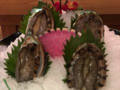 小鲍鱼-尚海豆捞(乐虹坊店)