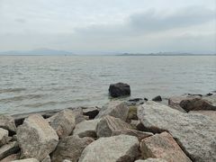 -深圳湾公园(南山区)
