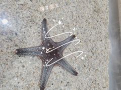 -萌宠奇缘