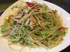 炒碗豆苗-百家班(市府店)