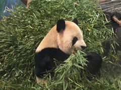 -无锡动物园·太湖欢乐园