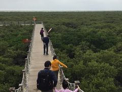 -北海金海湾红树林生态旅游区