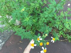 -南国桃园旅游度假区