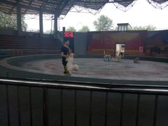 -石家庄市动物园