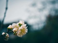 -光明港公园