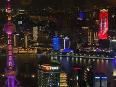 -The lounge 柏悦酒店大堂酒廊(上海环球金融中心店)
