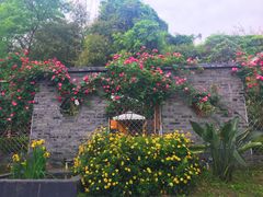 -三圣花乡旅游区