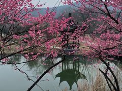 -石塘人家