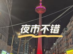 -辽宁电视塔