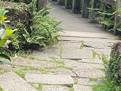 -广州兰圃