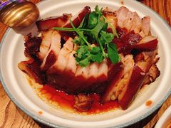 -MR鹅外